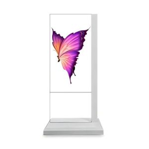 55-inch Wall-mounted Transparent OLED Display Aluminum Alloy Frame For Store