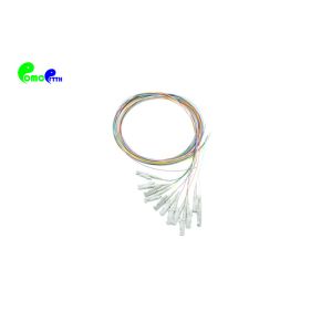 12F MM 0.9mm E2000 PC G651 850nm LSZH Fiber Optic Pigtail