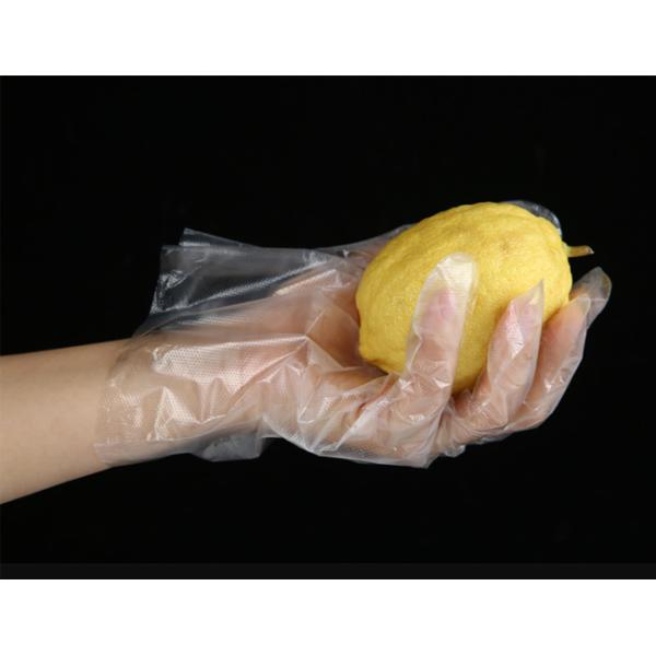 Food Preparing Disposable Poly Gloves