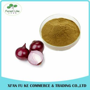 Factory Price Natural Vegetable Dried Onion Extract Powder