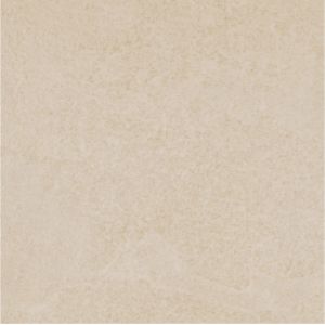 China Beige Color Delicate Appearance Indoor Floor Tiles 600*600mm Matte Porcelain Floor Tiles on sale