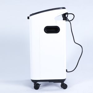 18.2kg Small Portable Oxygen Generators 5L Home Physiotherapy Equipment With