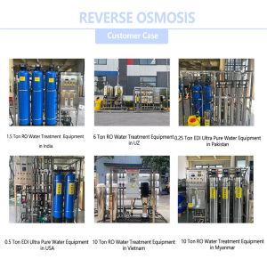Ultra Pure Water Reverse Osmosis System Electrodeionization Module RO Purificati