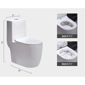 Dual Flush Washdown Siphonic One Piece Toilet Models P Trap S Trap