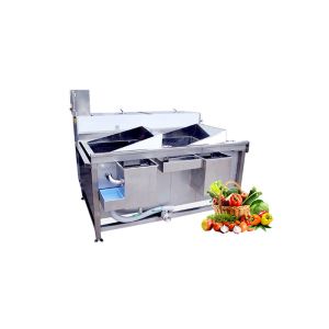 Double Trough Vegetable Fruit Washing Machine 380V 3 HP