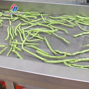 0.75KW 380V Commercial Vegetable Vibration Draining Machine