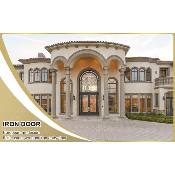 Modern Screen Custom Arches Top Exterior Front Double Entry Iron Glass Door Villa Front Entry Iron Pivot Door