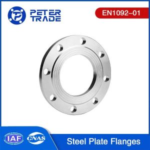 Cheap EN1092-01 TYPE 01 Stainless Steel SS304 SS316L Flat Face Plate Flange PN 63 PLFF in Higher Pressure Applications for sale