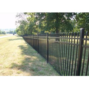 China Garden Permanent Coating Wrought Iron Dog Fence 2.4x2m on sale