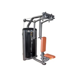 China Professional Workout Gym Equipment Pectoral Fly Rear Deltoid Machine For Commercial on sale