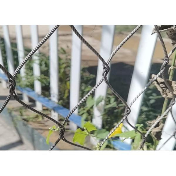 7*7 Stainless Steel Cable Mesh