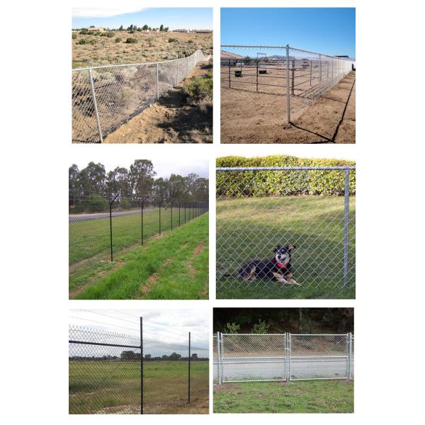 Quality Heavy duty Black PVC coated Chain Link Panels 1.8m*15m*50mm*50mm*3.5mm wholesale