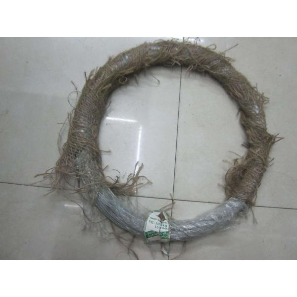 Quality Soft Flexiable Electro Galvanized Iron Wire bwg22 5kg/Coil wholesale