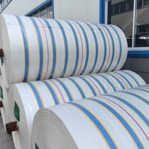 Customized Color PE Tarpaulin Waterproof Dust-proof Rainproof Moisture-proof for