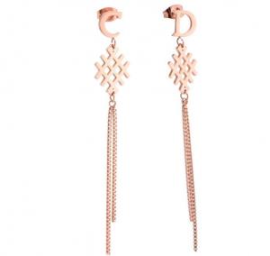 China Earring Supplier Popular Fringe Earrings Zirconia Long Gold Metal Tassel Earrings Exclusive design Tassel Earring on sale