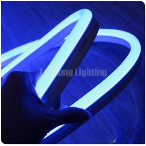 120v Dome LED Strip Lights Neon String Lights Ultra Thin SMD2835