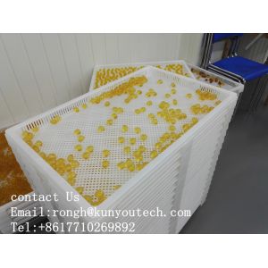 White Food Grade Stackable Plastic Trays / Cooling Tray 762*495*55mm