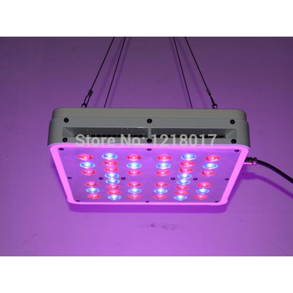 Best Selling Product In American wholesale hydroponics led grow light 5w chip