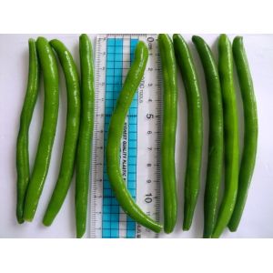 IQF Frozen Green Beans S , M Size