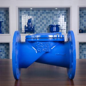 Cheap Flap Swing PN10 Rubber Seat Check Valve GGG50 DN50 SFCV Flange Ends for sale