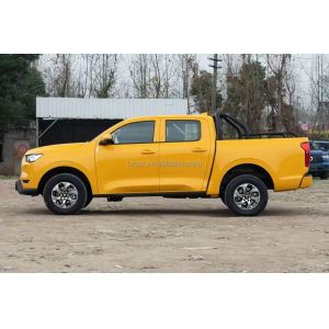 2023 POER Passenger 2.0T Gasoline Automatic Four-Wheel Drive Comfortable GW4C20B