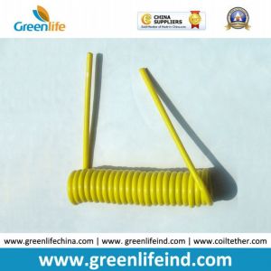 Cheap Durable 5MM Cord Safe Spring Stretchy Cord Ready for Heavy Duty Hooks for Tools Security for sale