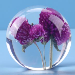 Custom clear epoxy real flower specimen acrylic dandelion paper weight