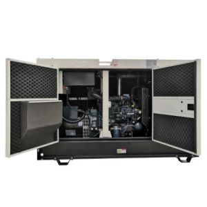 30kw 37.5kVA Revo Biogas Biomass Methane Generator For Agricultural Production