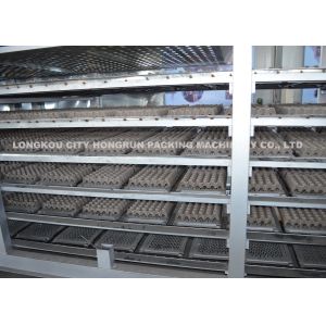 Lunch Boxes / Egg Tray Machine , Egg Carton Box Making Machine