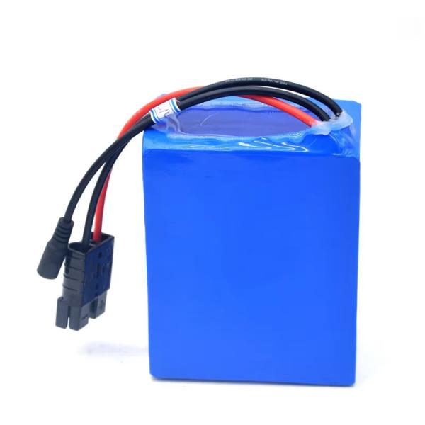 Portable Custom Lithium Batteries Pack lFP 18650 48V 20ah For Electric
