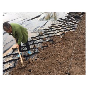 HDPE 330mm Geocell Ground Grid For Embankment Stabilization