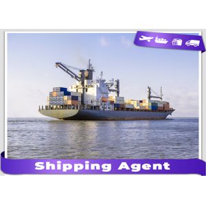 DDP Ocean Freight From China To Singapore 20GP 40GP