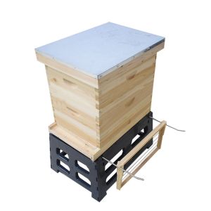 Cheap Apiculture 8 frame 10 frame Bee Hive Holder for sale