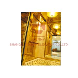 Vvvf 0.4m/S Sightseeing Residential Home Elevator Lift For Villa