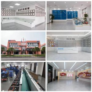 PQWT-TC700 Long Range Water Finder 600m Geophysical Survey For Groundwater