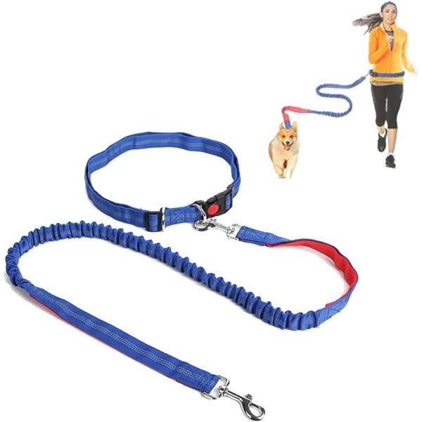 Adjustable Hands-Free Pet Dog Running Leashes Custom Logo Long Waist Double