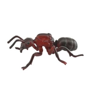 Cheap Insect Figures Model Toy Formica Rufa Figurines Party Favors Decoration Set Toys for sale