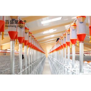 AutoCAD Drawing Design Steel Frame Pig Farm Structures Building for Poultry