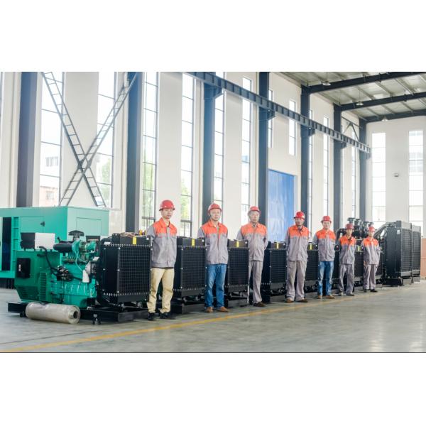 UK Engine Power By Sinotruk Weichai 250kw Biogas Methane Lpg Natural Gas Generator Set Power Plant CE/ISO9001