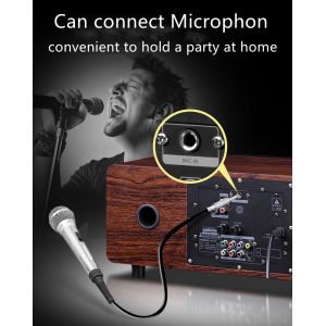 Sleek Design High Density Sheet Dual Channel Bookshelf Speaker with Remote for