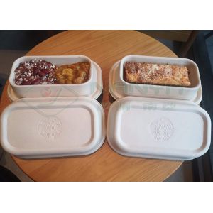 Super-fine Paper Pulp Molded Plate Machine / Plate Making Machine 2000pcs/h​