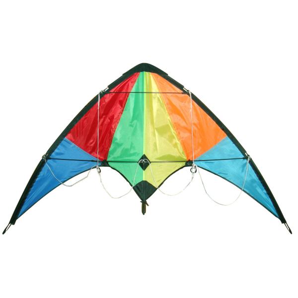 Spring Dual String Kite , Nylon Or Polyester Beginner Stunt Kites 120*60cm