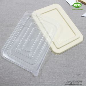 Eco-Friendly 700ml Rectangular Pulp 2-Coms Meal Boxes With Lid-Biodegradable