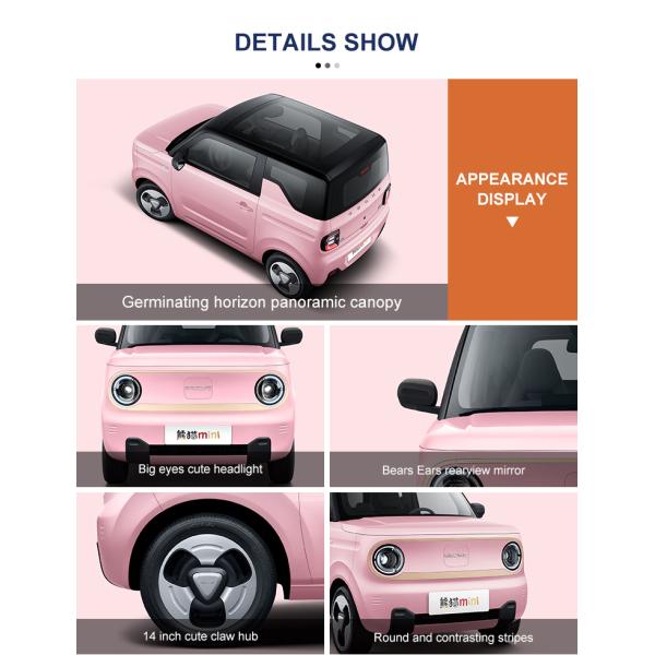 Budget-Friendly Geely Panda Mini EV 1940mm Wheelbase and Maximum Torque 85N.m for Affordable Electric SUV