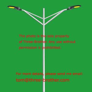 Dual arms lighting columns Model No. TBP-02A