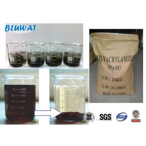Water Treatment Agent Anionic Polyacrylamide Copolymer Flocculant CAS No. 9003