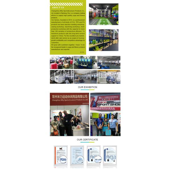 14.3in Dual Exercise AB Wheel