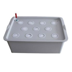 Neoprene Farms Non Toxic Hydroponic Cloning Collar Foam