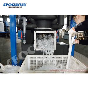 Provided Video Outgoing-Inspection 1ton 3ton 5ton 10ton Ice Maker Machine for