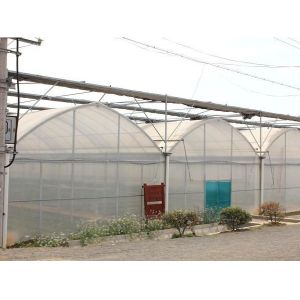 Pollution Free Commercial Hydroponic Greenhouse Saving Water / Fertilizer